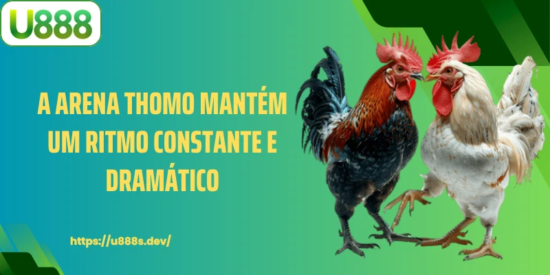 A arena Thomo mantém um ritmo constante e dramático