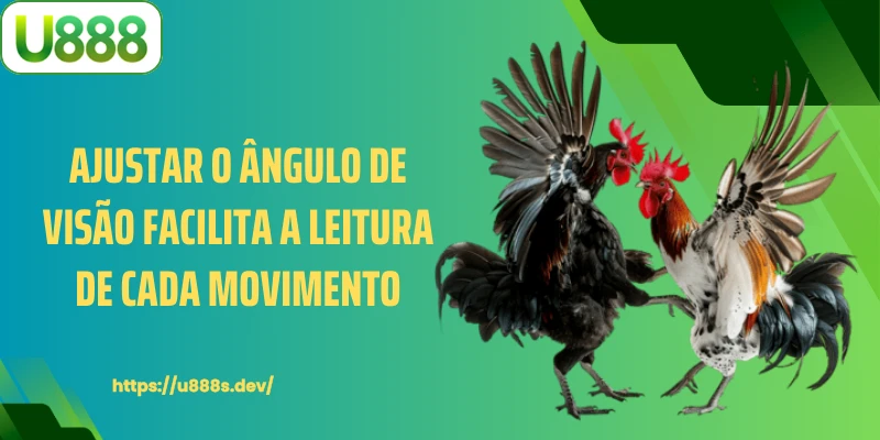 Ajustar o ângulo de visão facilita a leitura de cada movimento